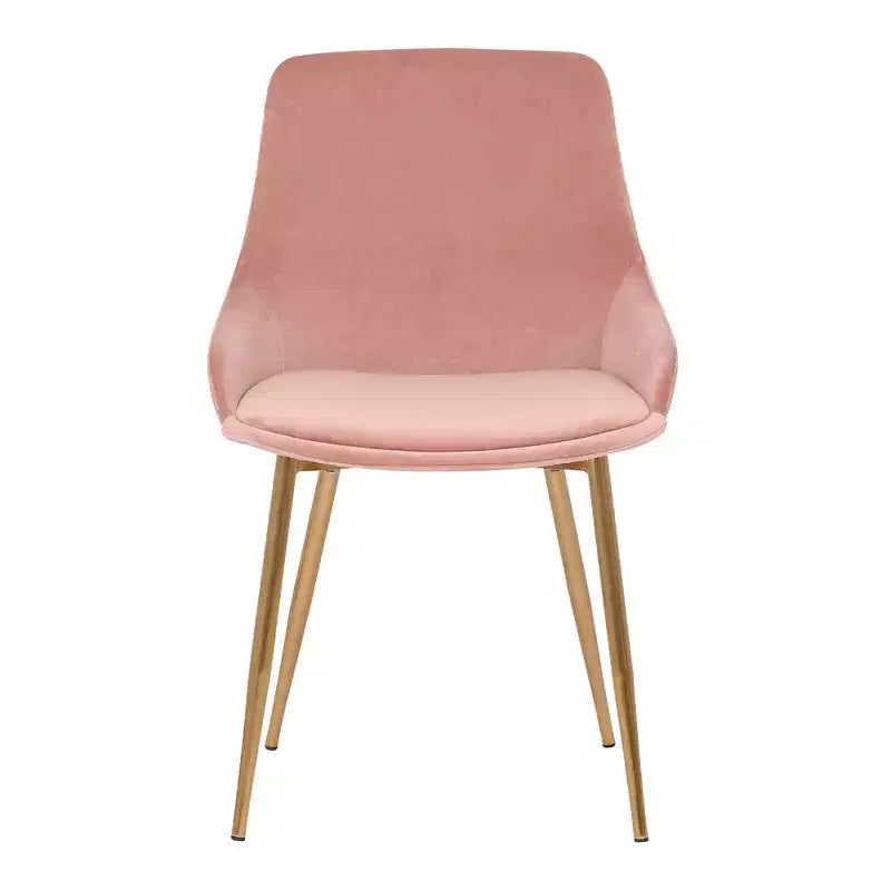 Chaise d'appoint de salle à manger Heidi en velours avec dossier haut et pieds en acier